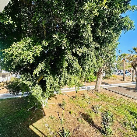 Apartamento Eureka Costa Del Silencio Zewnętrze zdjęcie